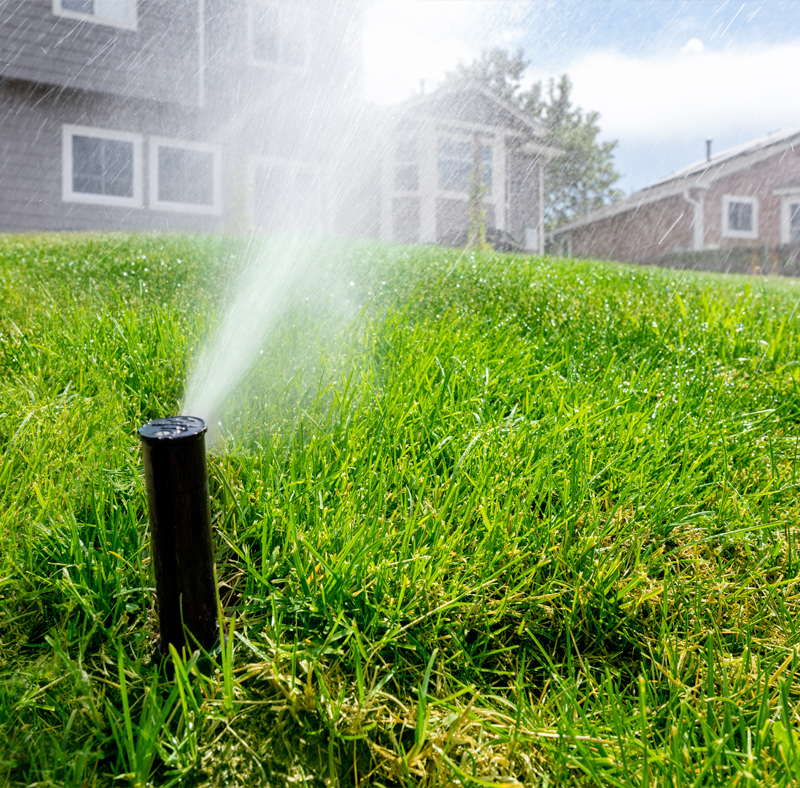 Home Irrigation Rochester NY